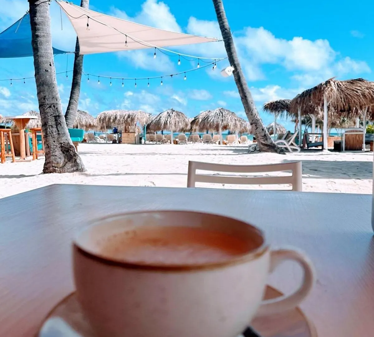 Apartman Rooftop, Pool View, Walk To Beach, Dining, Shops Punta Cana